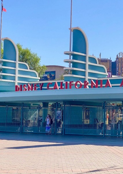 Disney California Adventure photo