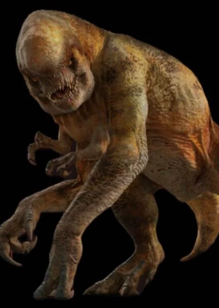 Distortus rex photo