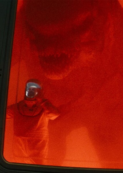 Distortus rex photo
