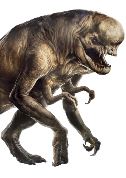Distortus rex photo