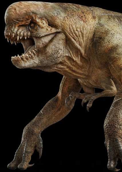 Distortus rex photo
