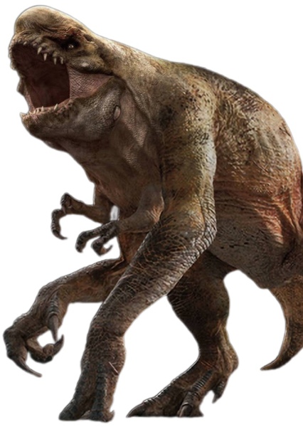 Distortus rex photo