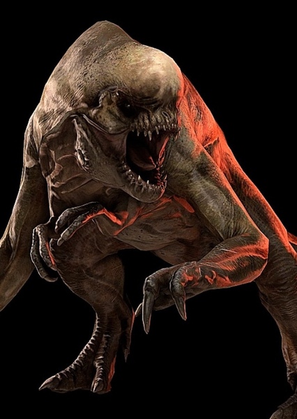 Distortus rex photo