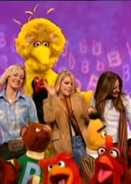 The Chicks photo