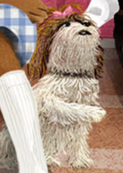 Dizzy Dot (American Girl) photo