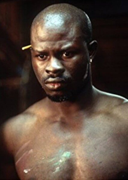 Djimon Hounsou