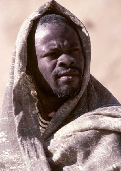 Djimon Hounsou photo