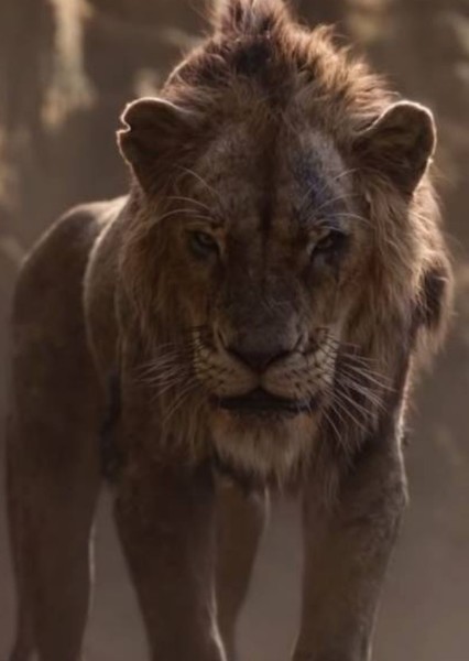 Djimon Hounsou photo