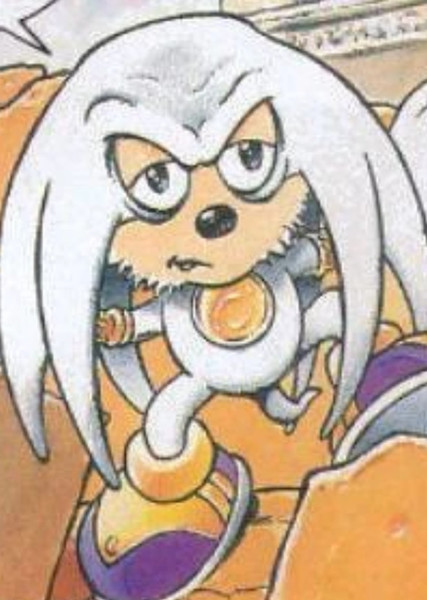 Doctor Zachary the Echidna