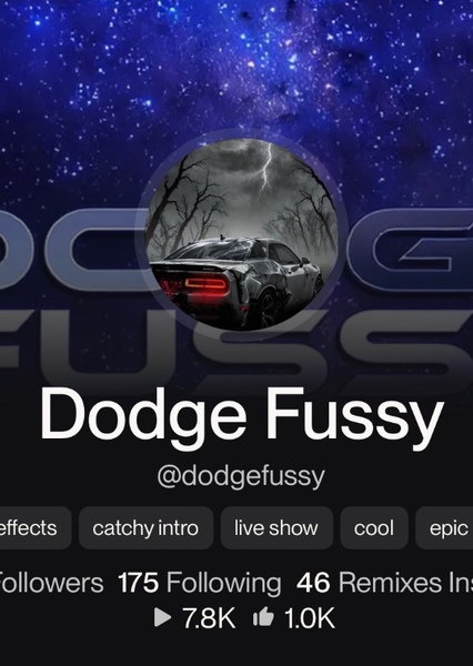 DodgeFussy photo