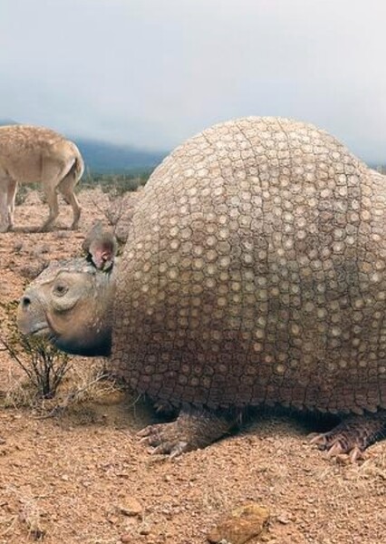 Doedicurus photo