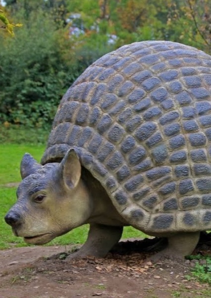 Doedicurus photo