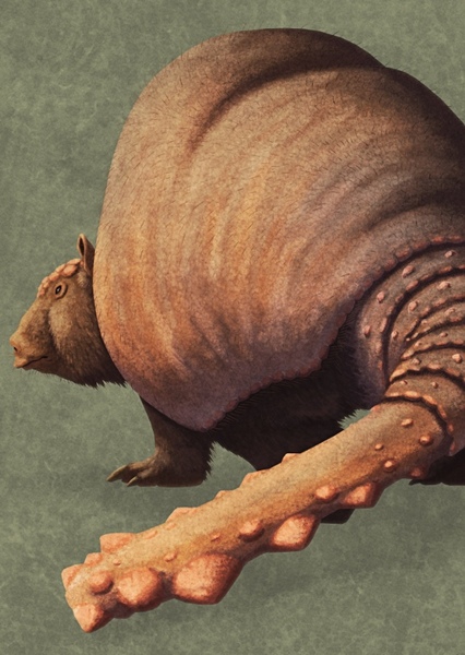 Doedicurus photo