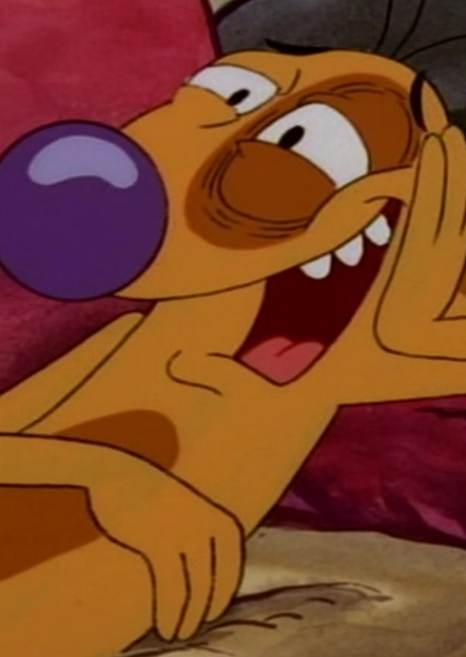 Dog (CatDog) photo