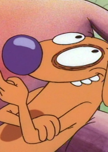 Dog (CatDog) photo