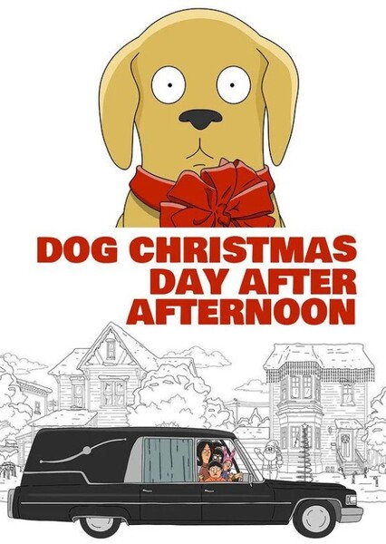 Dog Christmas Day After Afternoon