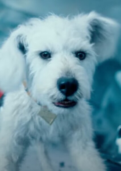 Krypto