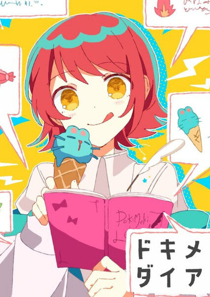 Dokimeki Diary