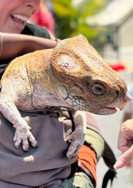 Dolores (Jurassic World)