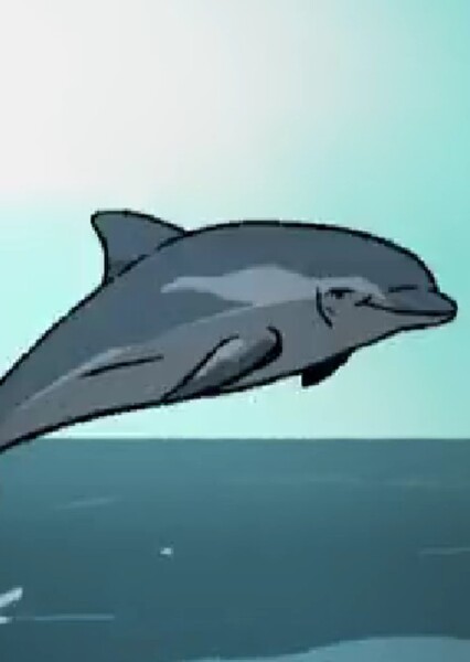Dolphin photo