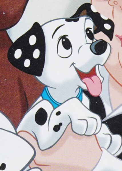 Domino (101 Dalmatians) photo