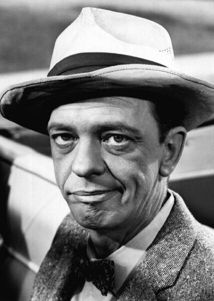 Don Knotts photo