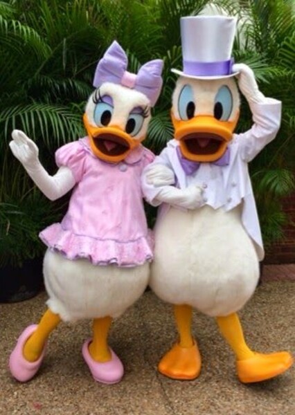 Donald and Daisy photo