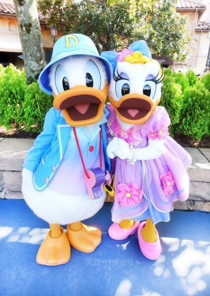 Donald and Daisy photo