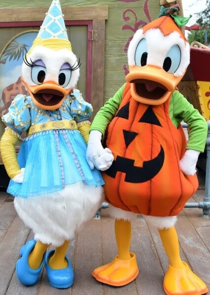 Donald and Daisy photo