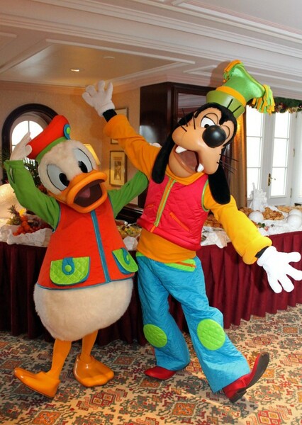 Donald and Goofy photo
