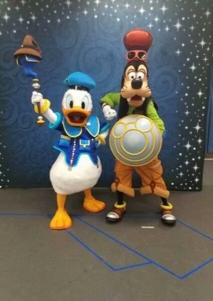Donald and Goofy photo