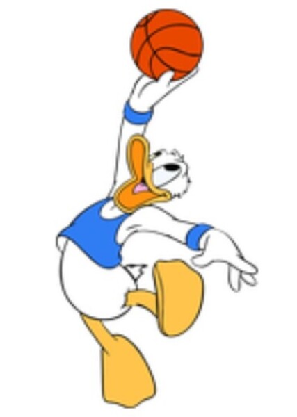 Donald Duck photo