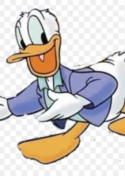 Donald Duck photo