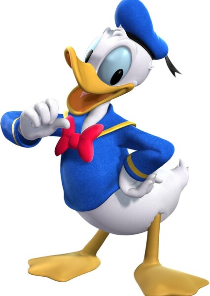 Donald Duck photo
