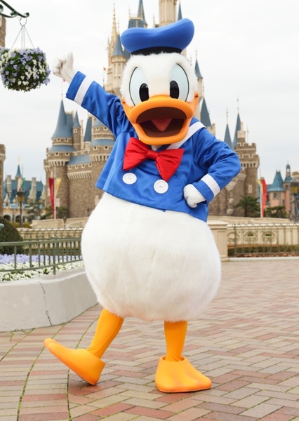 Donald Duck photo