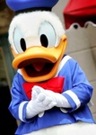 Donald Duck