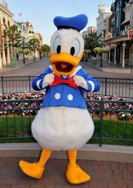 Donald Duck photo