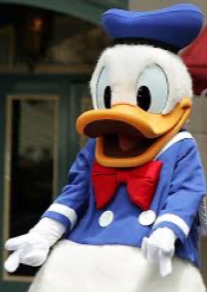 Donald Duck photo