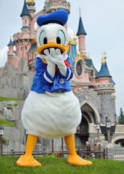 Donald Duck photo