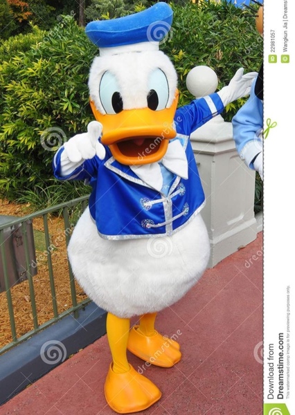 Donald Duck photo