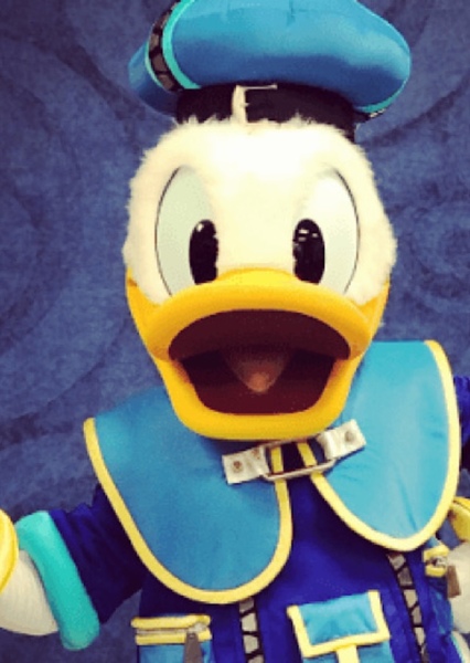 Donald Duck photo