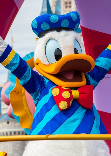 Donald Duck photo