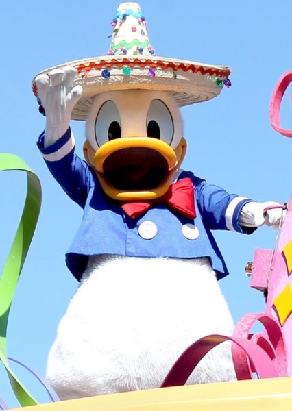 Donald Duck photo