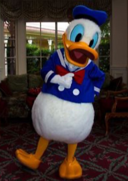 Donald Duck photo