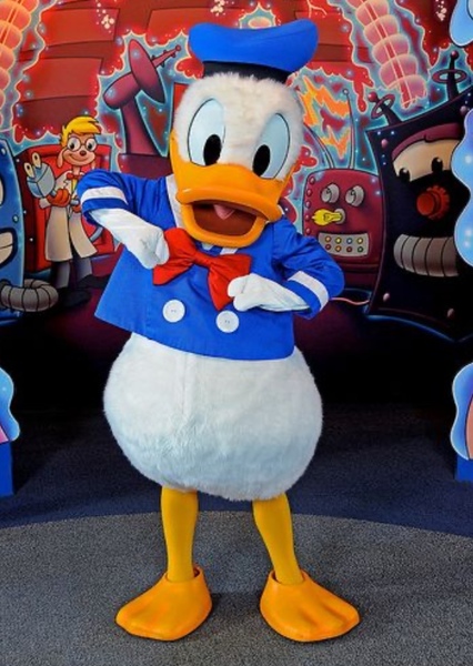 Donald Duck photo
