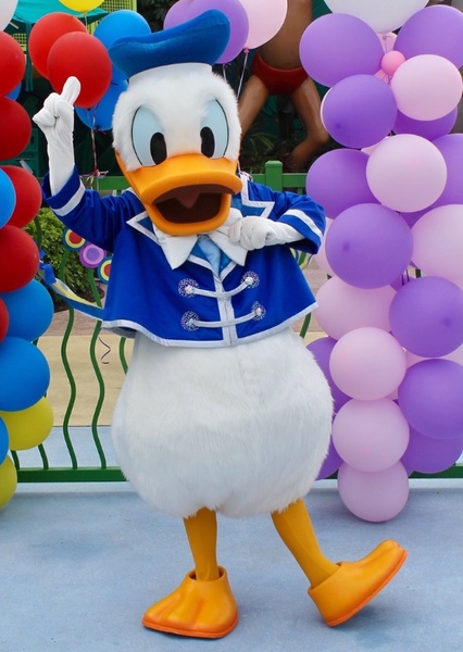 Donald Duck photo