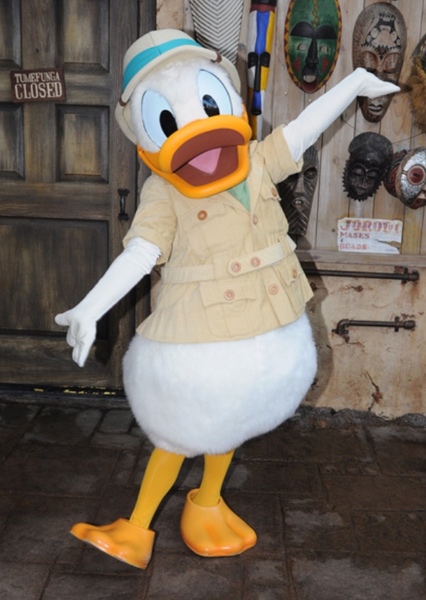 Donald Duck photo