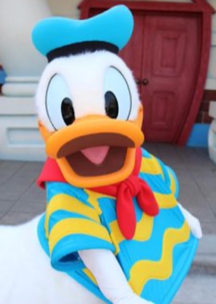 Donald Duck photo