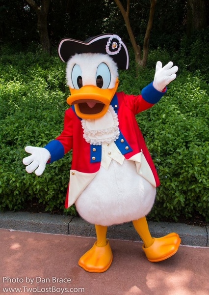 Donald Duck photo