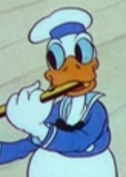 Donald Duck photo